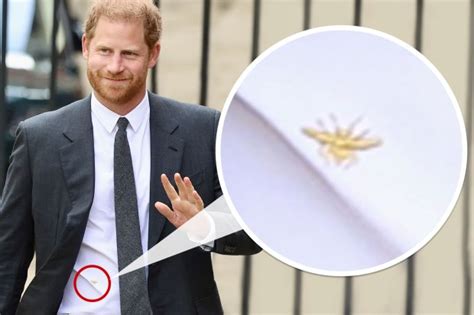 prince harry dior shirt